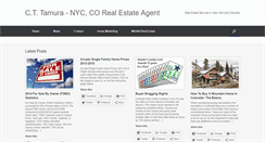 Desktop Screenshot of cttamura.com